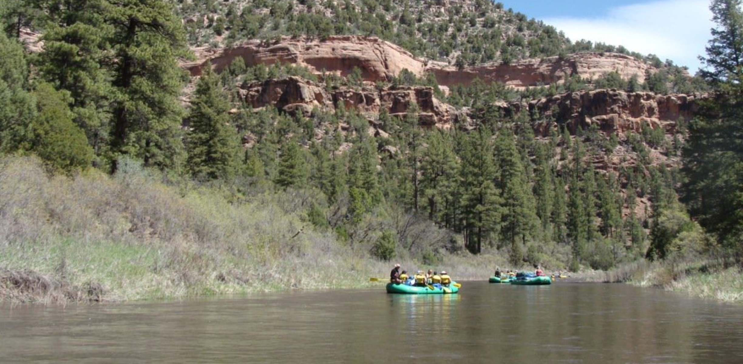 A green raft floats down the scenic Dolores River