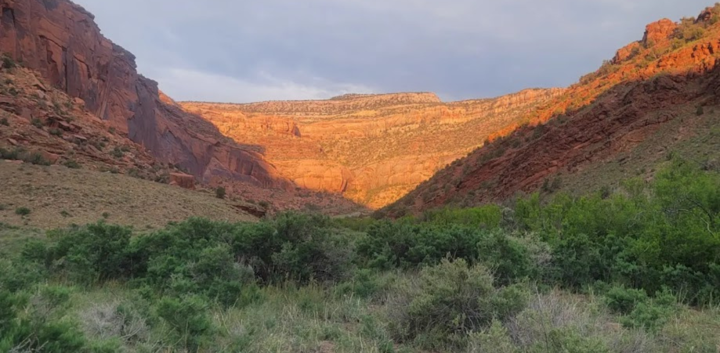 The setting sun reflects on the red rocks walls on the dolores river