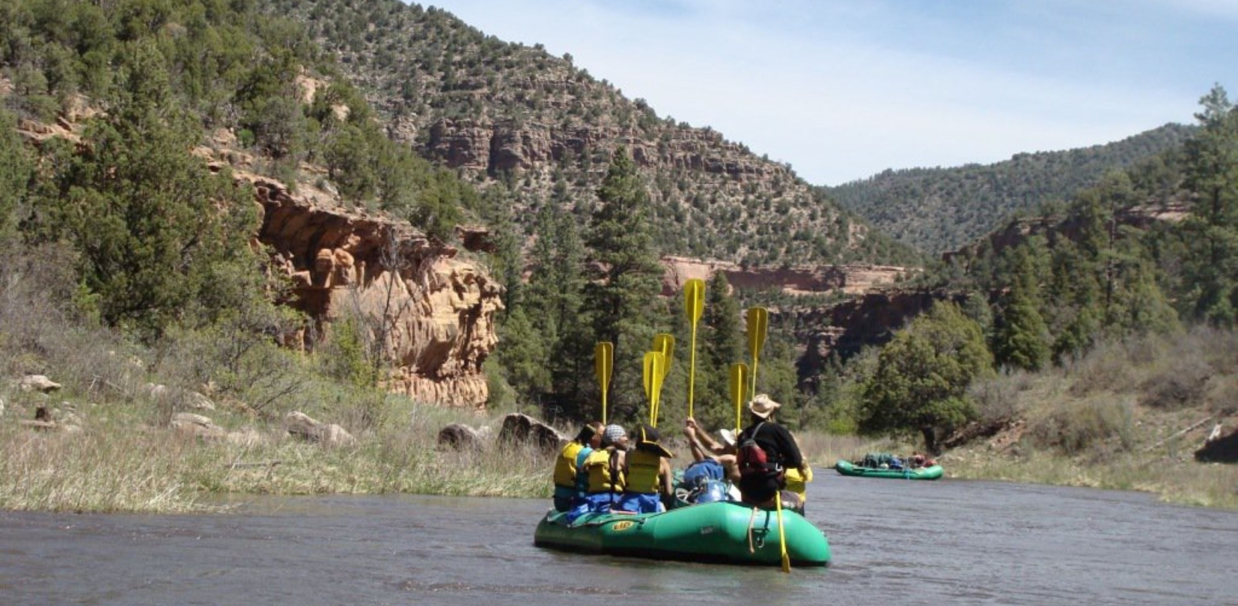 People on a green raft raise their yellow paddles together