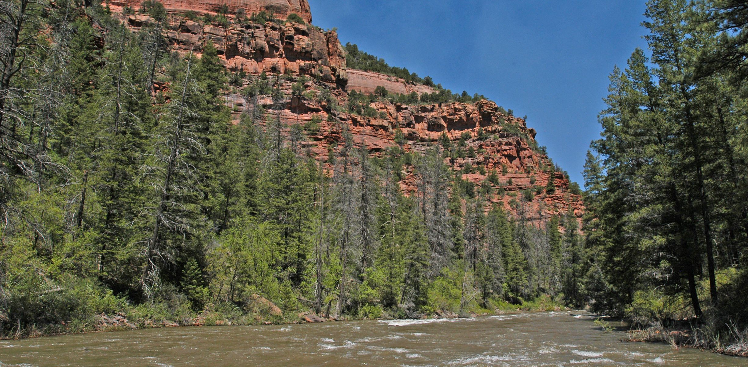 A river flows with trees and a large red cliff off to one side