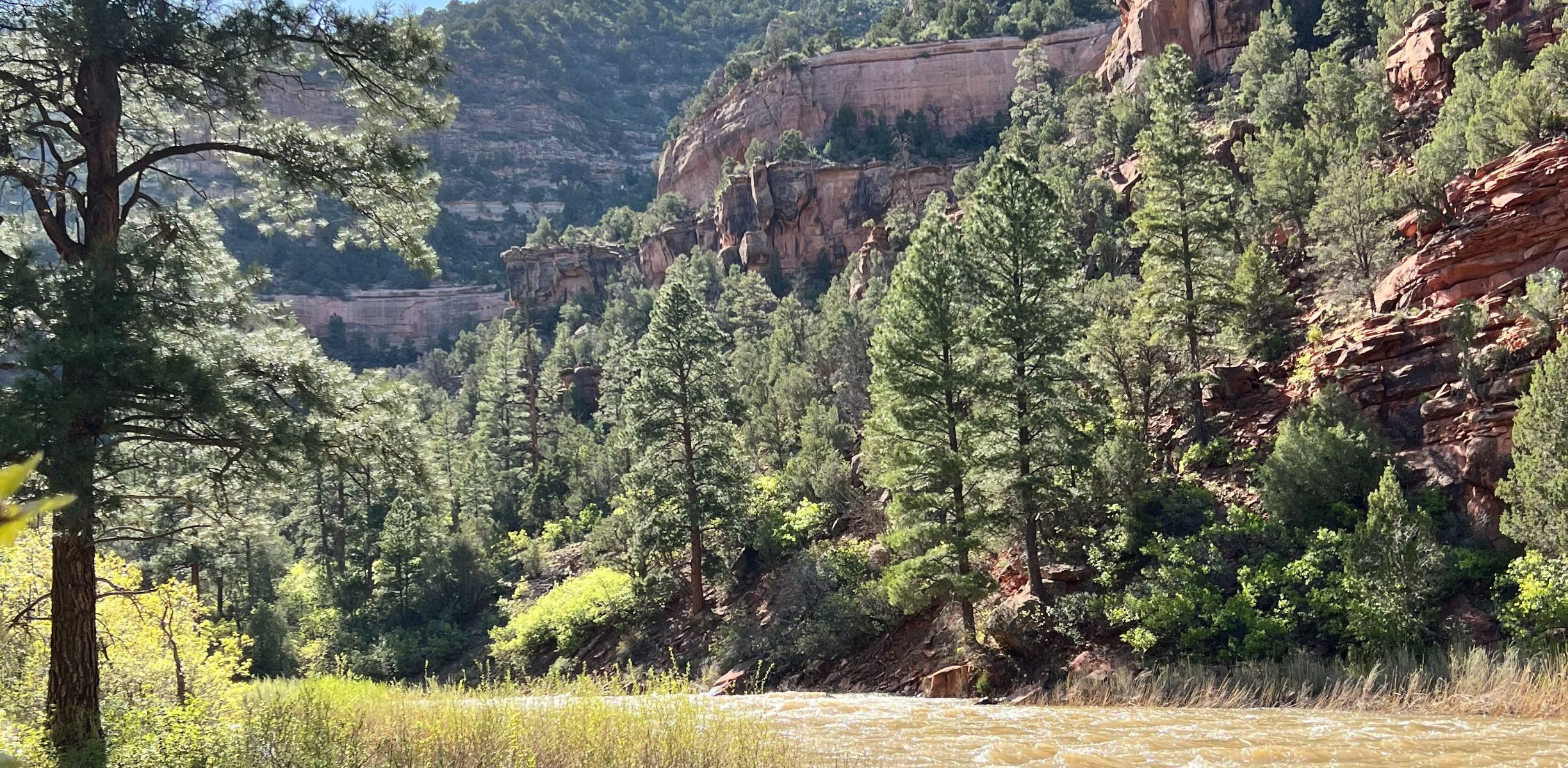 Green trees and dramatic cliffs line the Dolores river