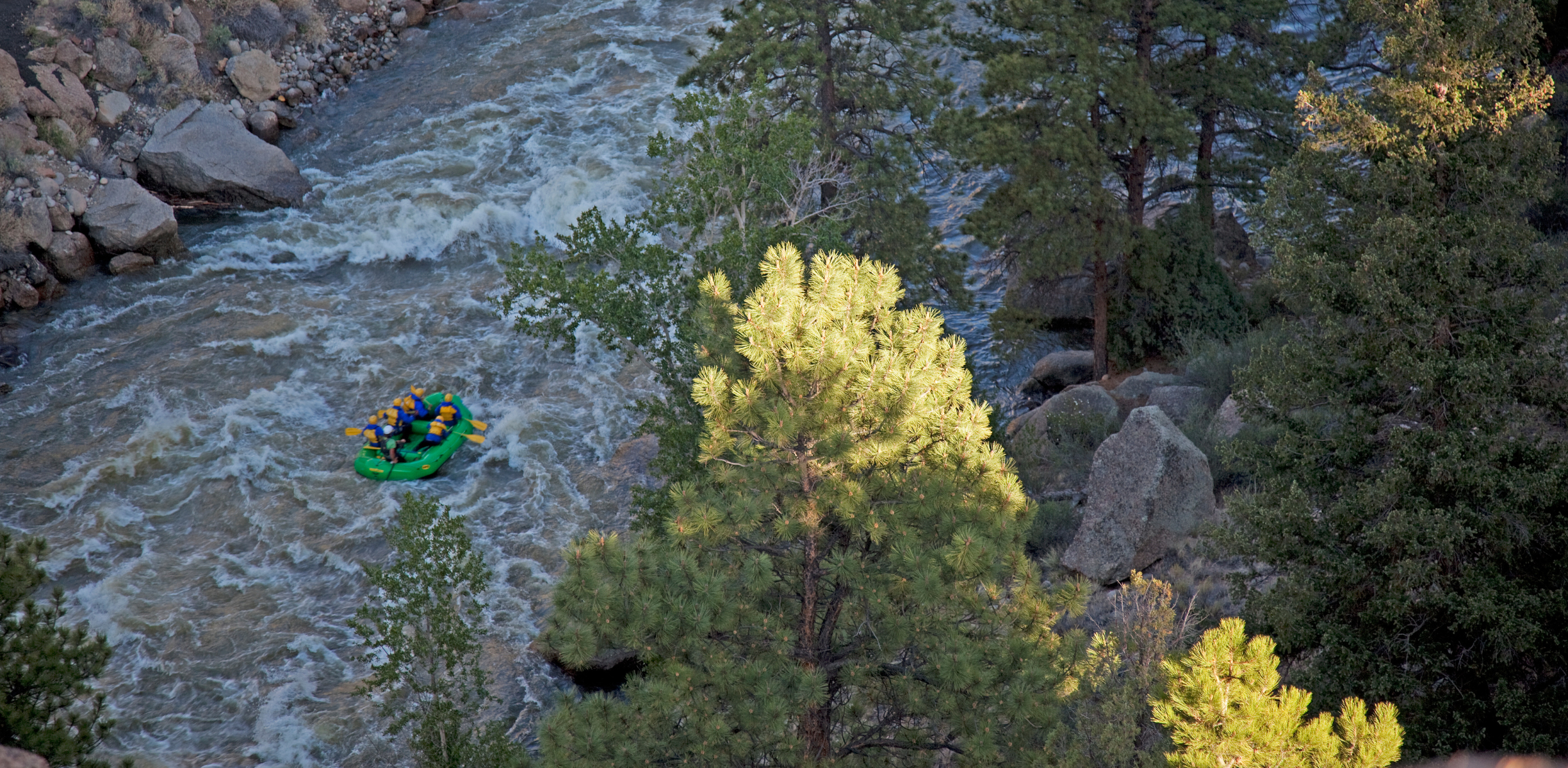 A green raft rows down a river with rapids and trees on the shore