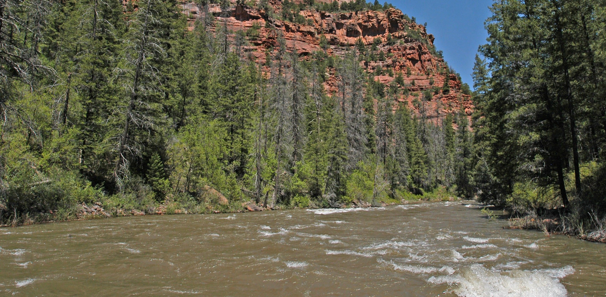 The river flows through the Dolores River's red rock canyon