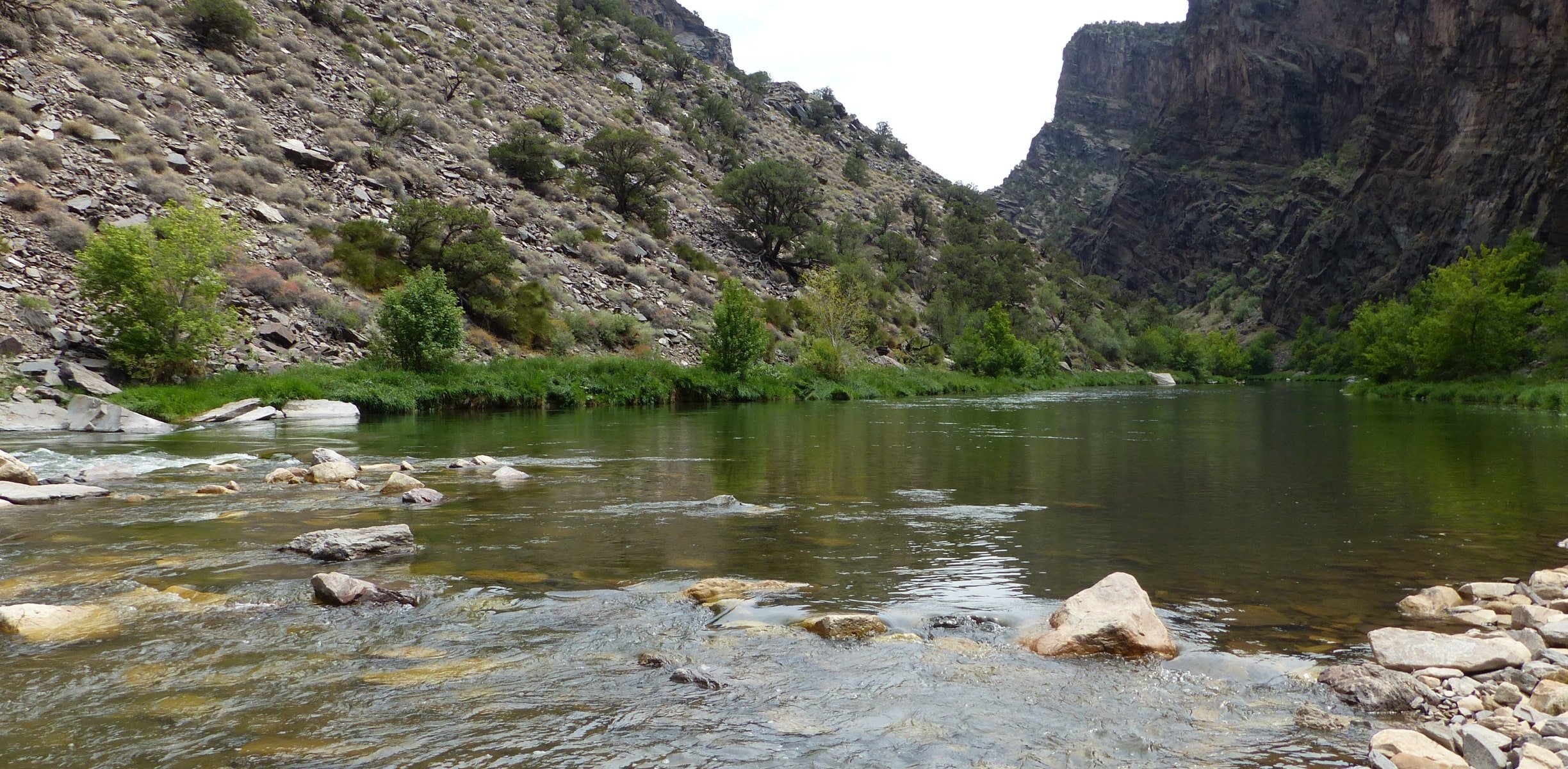 Gunnison river winding through a canyon with exposed rocks