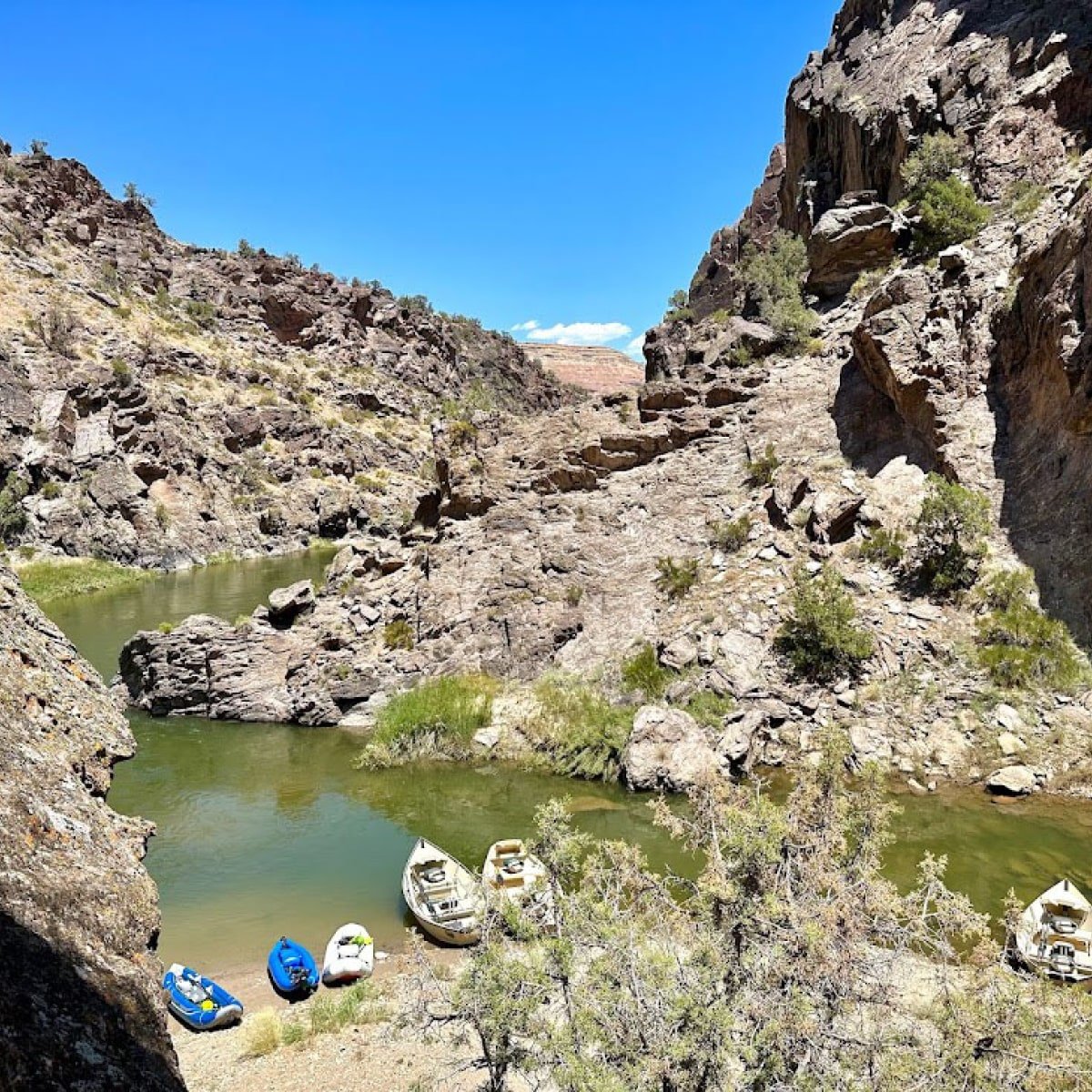 A group of rafts parked on the shore of a river