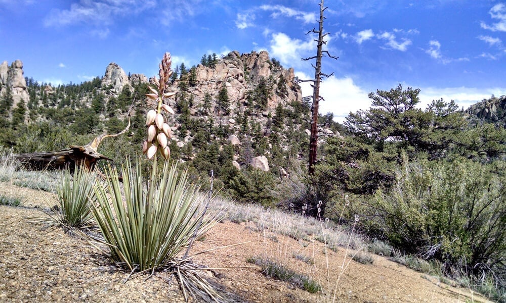 Scenic view of the Browns Canyon monument, a striking rock formation visible during rafting trips on the Arkansas River in Colorado, showcasing the natural beauty of the area.