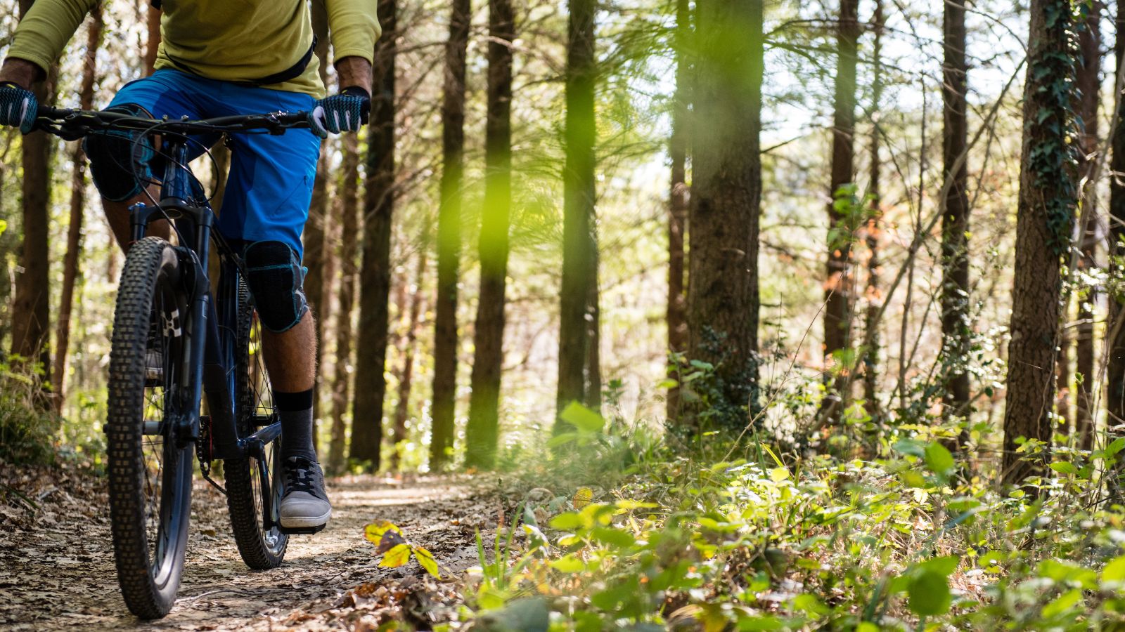 A person rides a mountain bike on a trail in the forest with trees